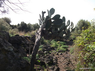 lla Calanna07-04-2013 09-32-33